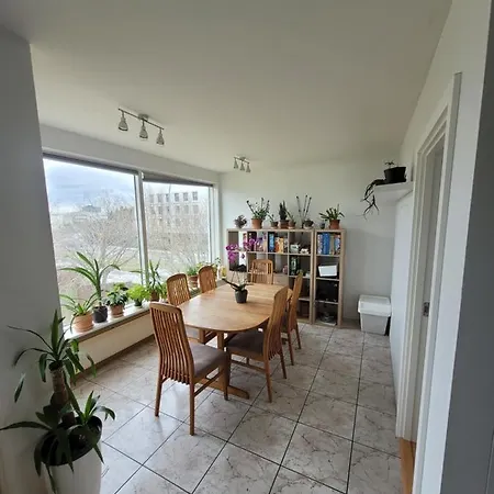 Private In A Family House, Good Location * 레이캬비크